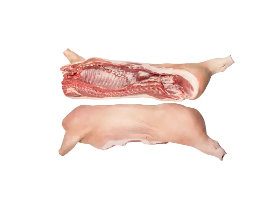 canal de cerdo ecológico - Ganadería ecológica J. Gallego